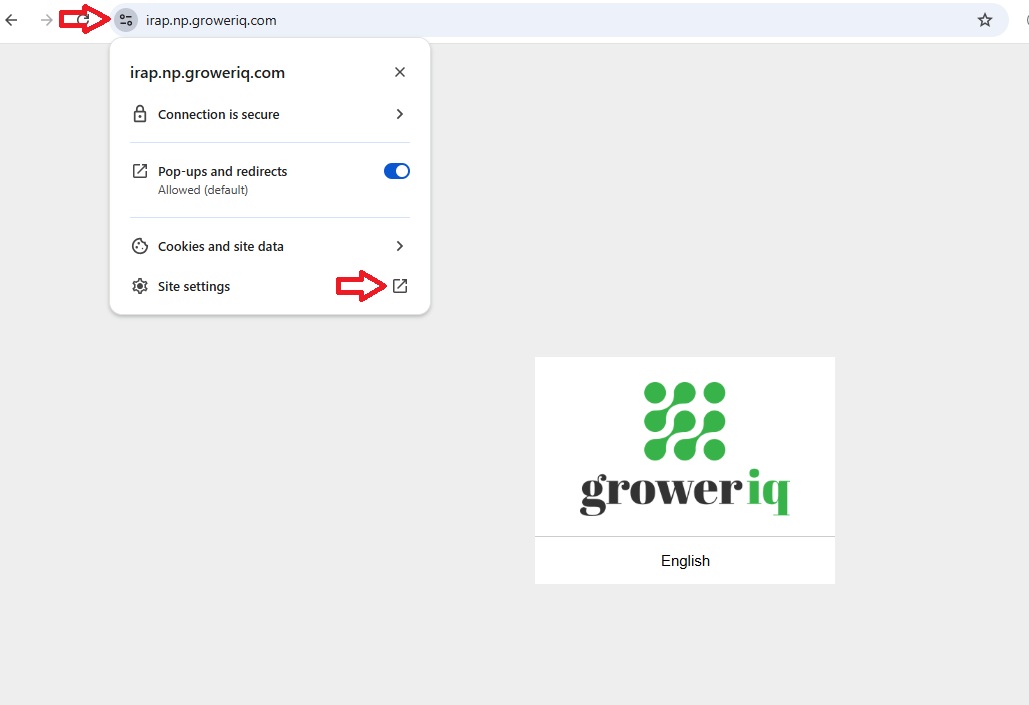 Click the site info icon and then Site settings